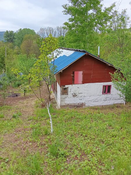 Moreni, Dambovita,